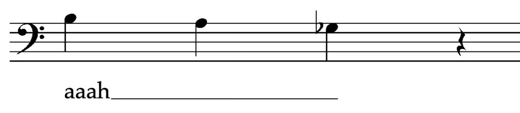 Vokaltrakt - Kehlkopf und Öffnung