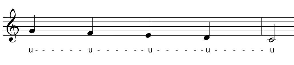 Vokaltrakt - Kehlkopf und Öffnung